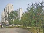 建设更多口袋公园 市民共享绿色福利