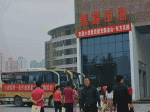 百名网友五盘连看，意向成交达600余万元