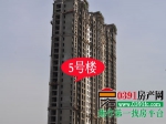 【十一月】建业·壹号城邦工程进度报告