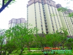 建业·壹号城邦以建筑成就生活