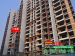 冬日采光大调查：你家被“光”顾了吗（十五）