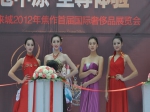 赵颖：助力焦作首届国际奢侈品展览会[图]