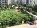 园林美墅小区4楼， 2室2厅 90㎡