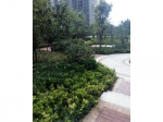 亿祥东郡 精装1室