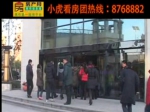 岁末钜献 12月10-11日小虎看房团完美收官