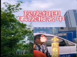  小虎现房看房团火热报名中