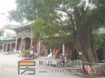 古槐见证回汉情