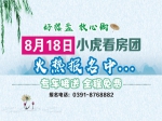 8月18日小虎免费看房团火热报名中