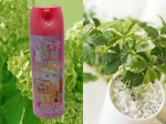 居家过日子绝不能出现风水“邪物”你家有吗？