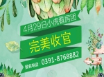热情不减  4月29日小虎看房团完美收官
