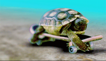 别犹豫,快来把你的小可爱带回家吧!