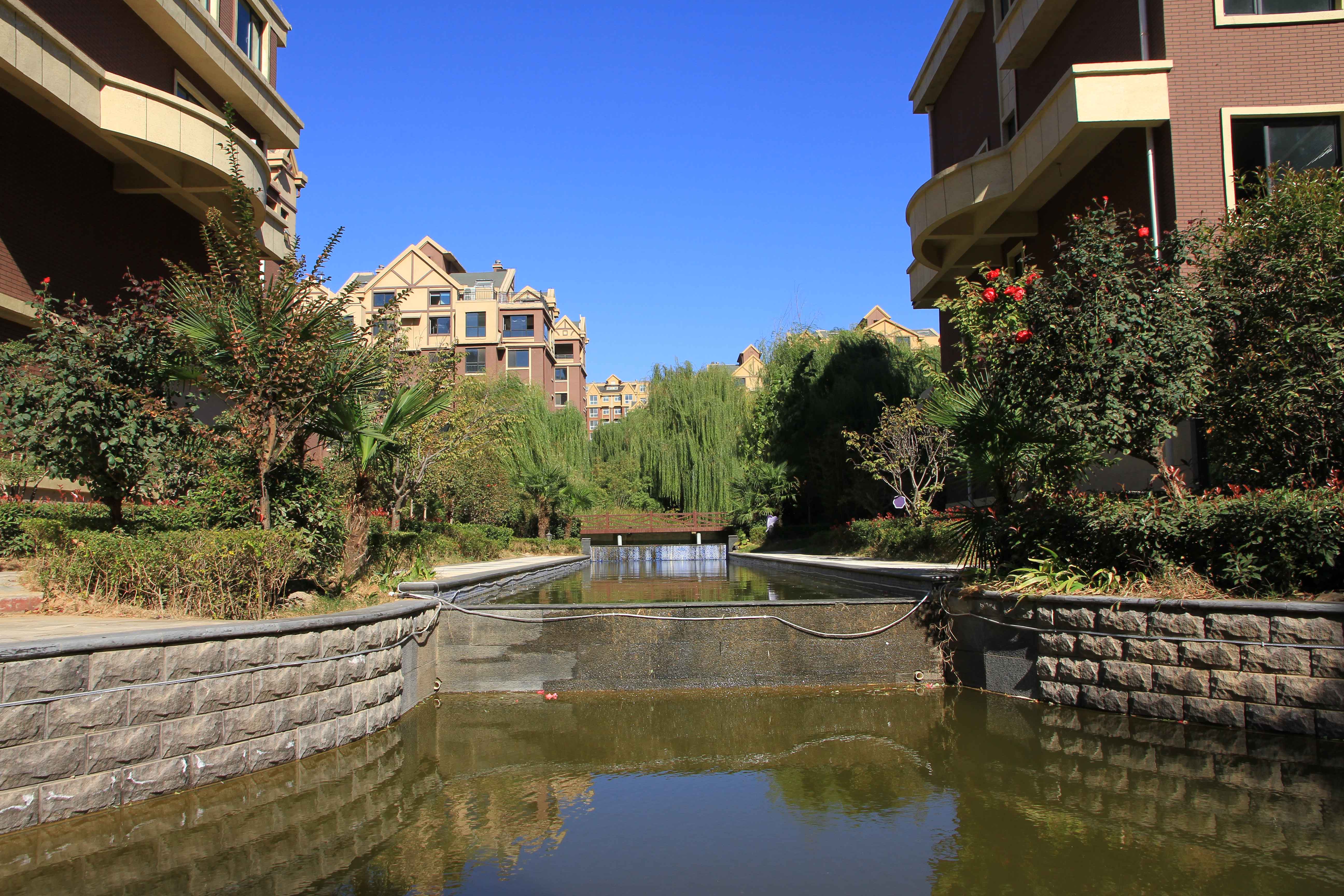 星凯国际城 | 四月的春天 风景这边独好