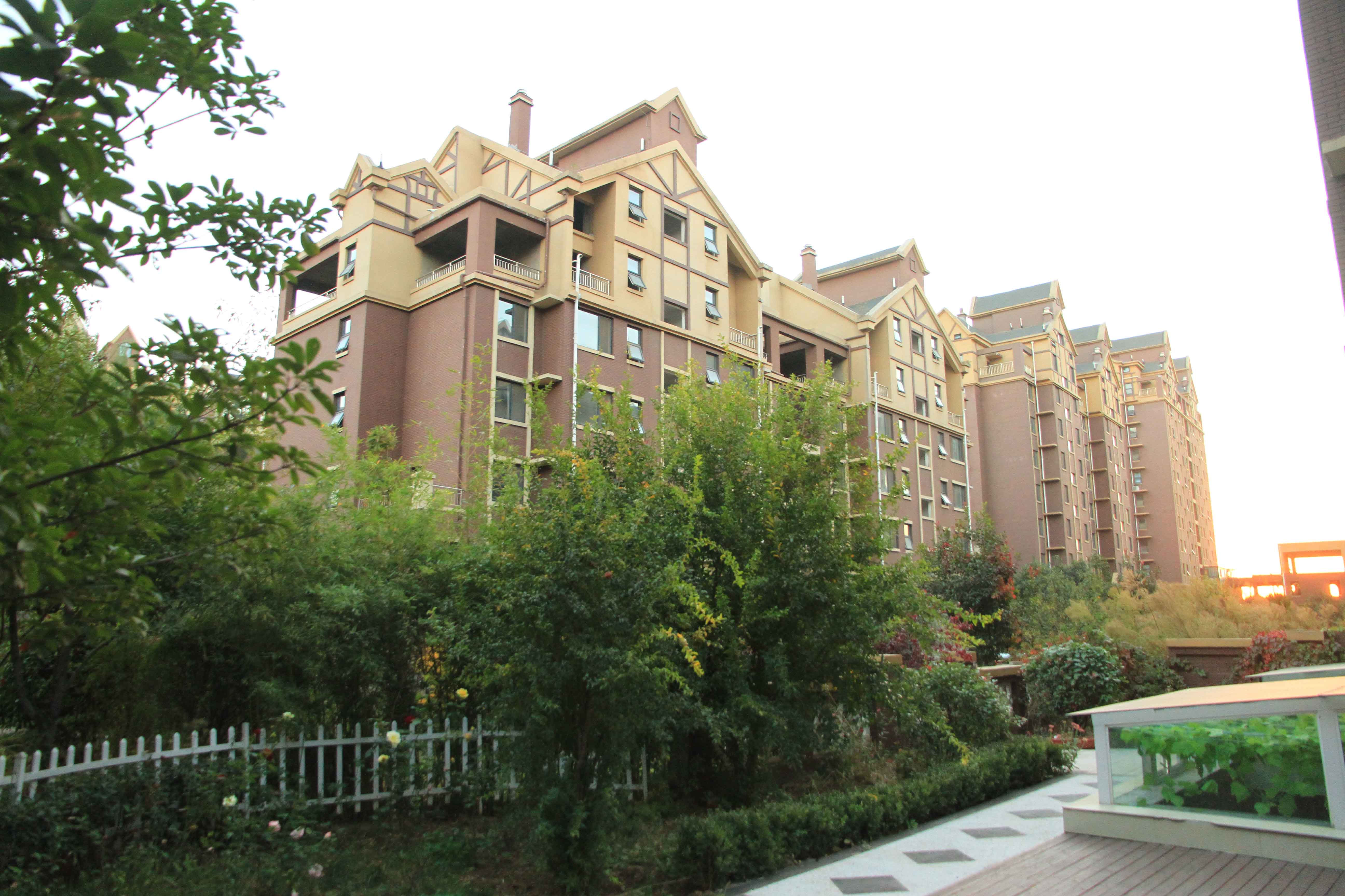 星凯国际城 | 四月的春天 风景这边独好