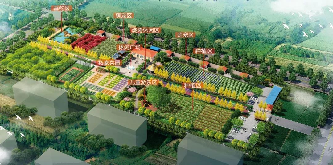 不负等待建业迎宾府首批业主认领菜园启动